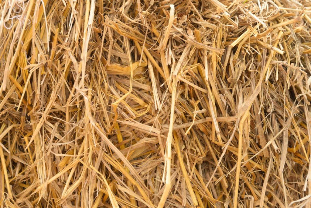 FBT dévoile un panneau isolant thermique composé à 92 % de paille de riz de Camargue